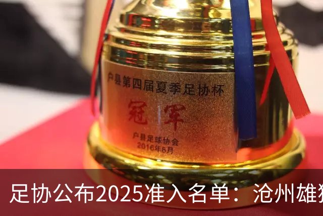 足协公布2025准入名单：沧州雄狮、广州队无缘